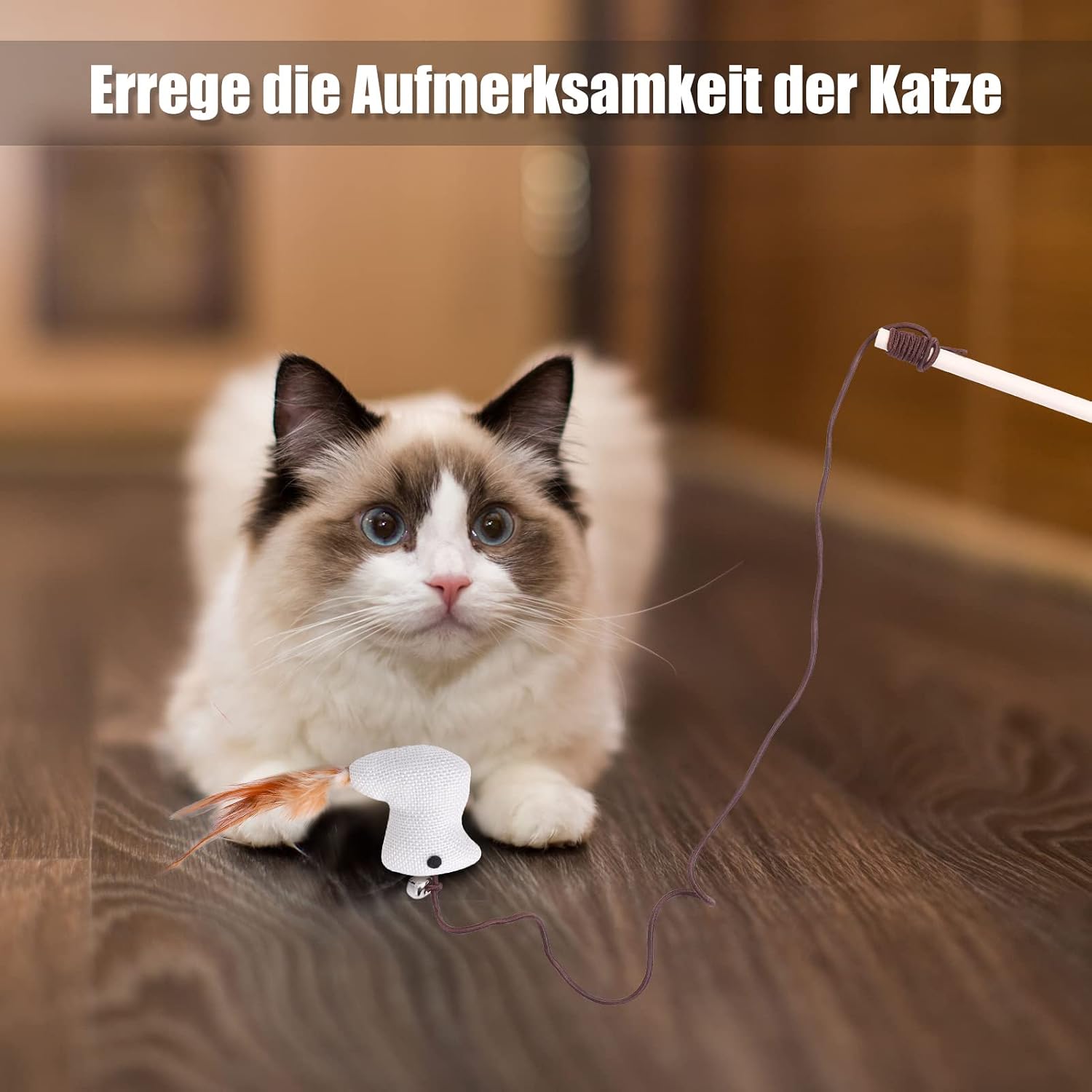 4x Katzenangel Spielzeug Feder Maus Fisch Vogel Set