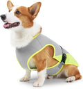 Hunde Kuehlweste S-XL mit verstellbarer Schnalle fuer Jagd Training Camping