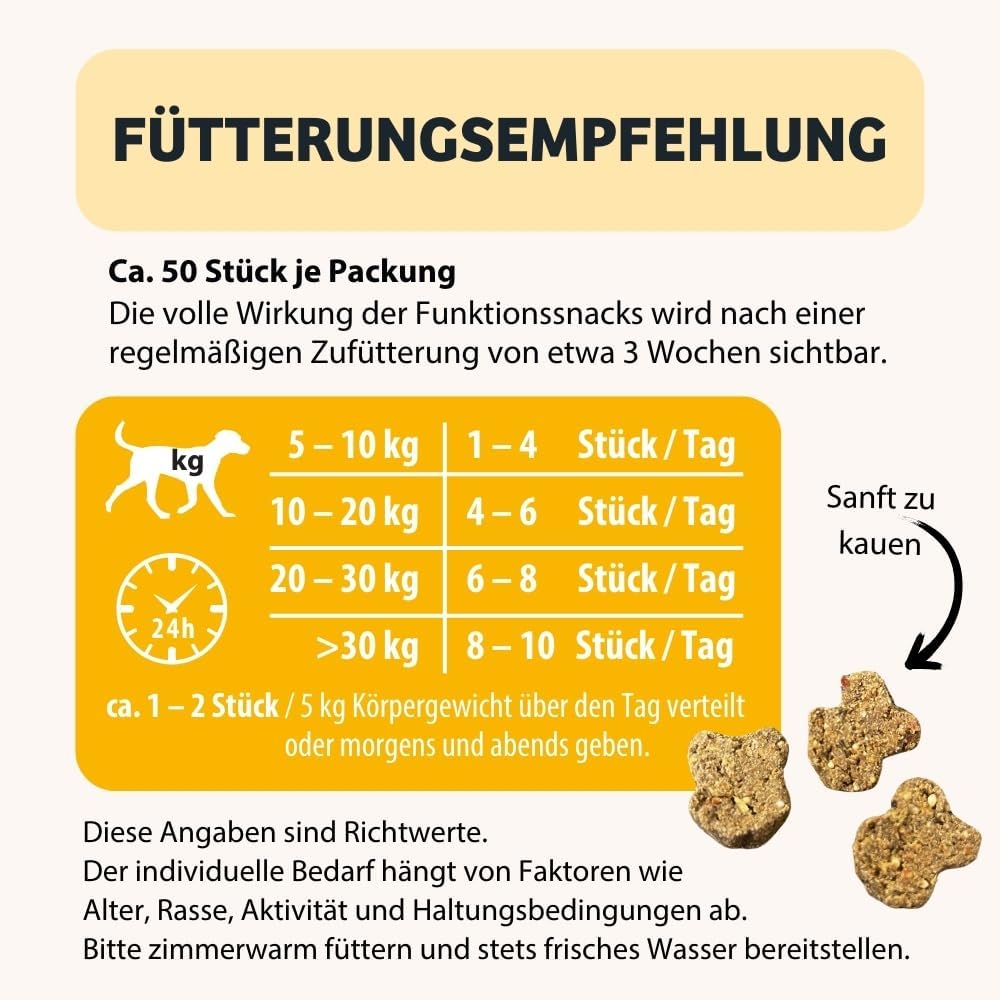 BugBell Soft Snack Hundeleckerli Hypoallergen Insektenprotein verschiedene S