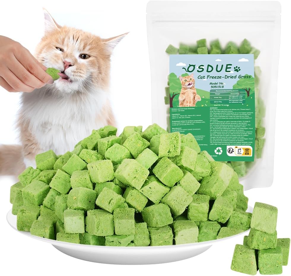 OSDUE Katzengras Sticks Gefriergetrocknet Katzenminze Zahnpflege