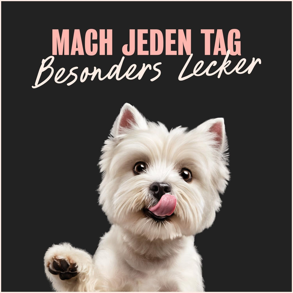 Cesar Hundefutter Nassfutter 24x100g verschiedene Sorten in Sauce