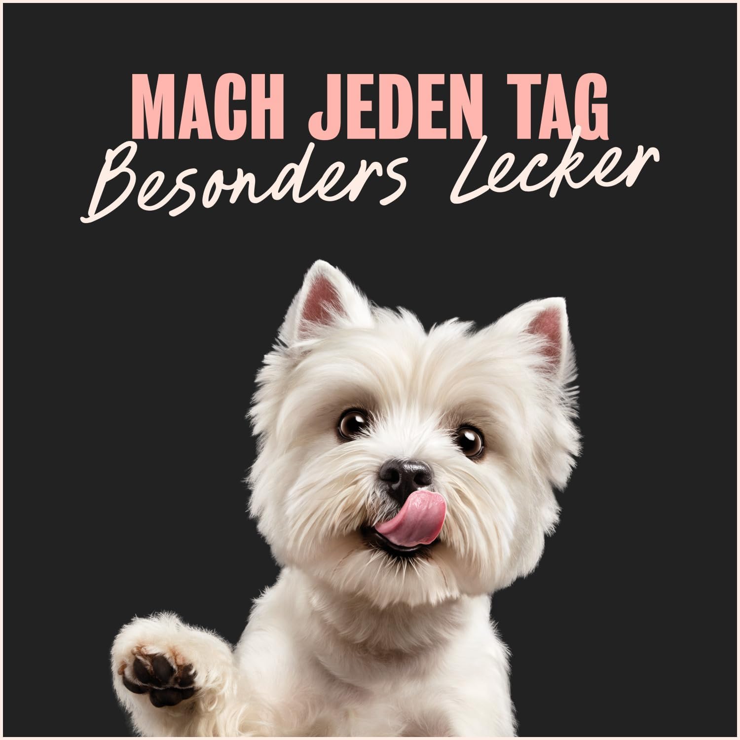 Cesar Hundefutter Nassfutter 24x100g verschiedene Sorten in Sauce