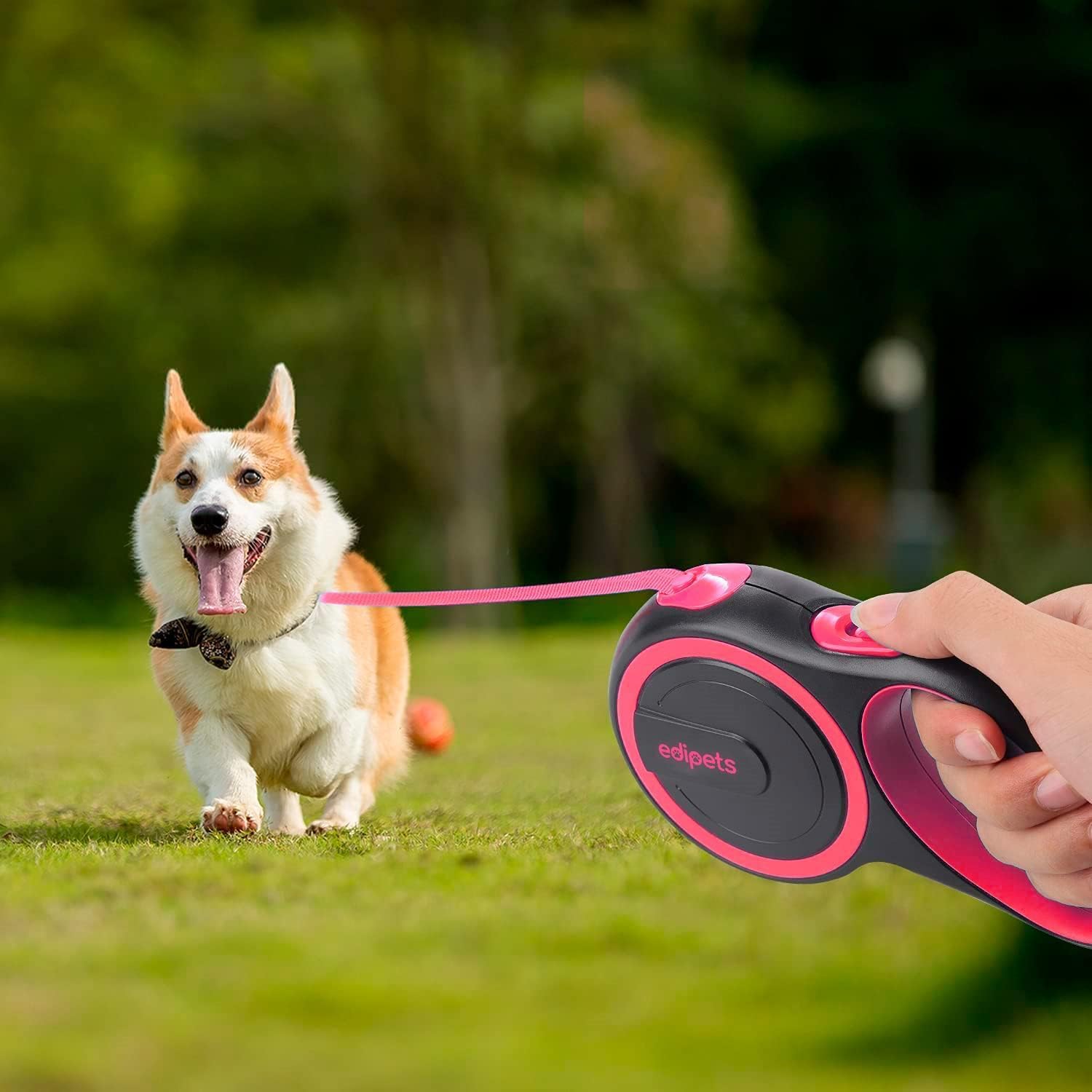Edipets Flexi Hundeleine 5m Ausziehbar Retractable Grau 5m