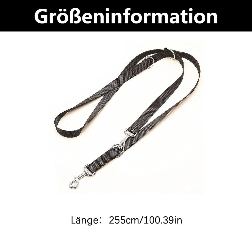 Hundeleine 2,5 cm x 260 cm Schwarz mit Karabinern für große Hunde