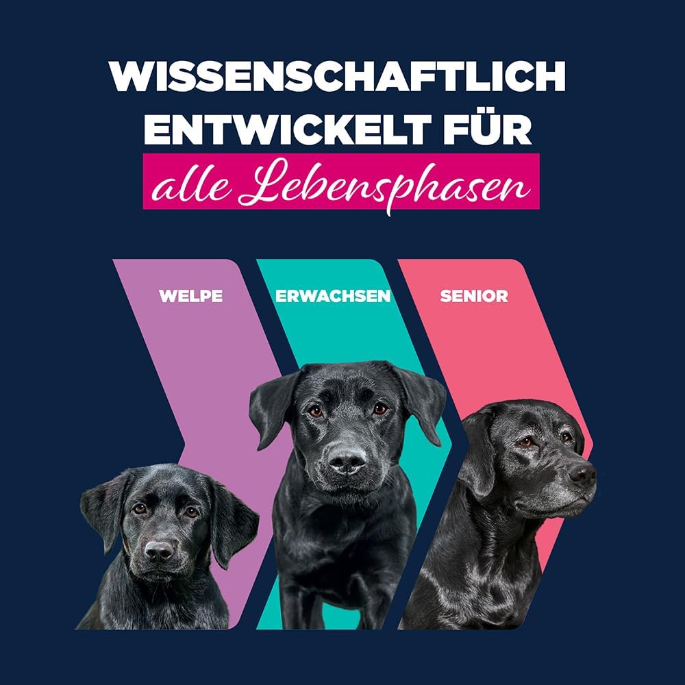Hundefutter nass Rind Kürbis getreidefrei 6 x verschiedene Sorten