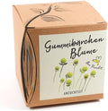 Gummibaerchenblume Anzuchtset 8,7cm Geschenk Pflanzset