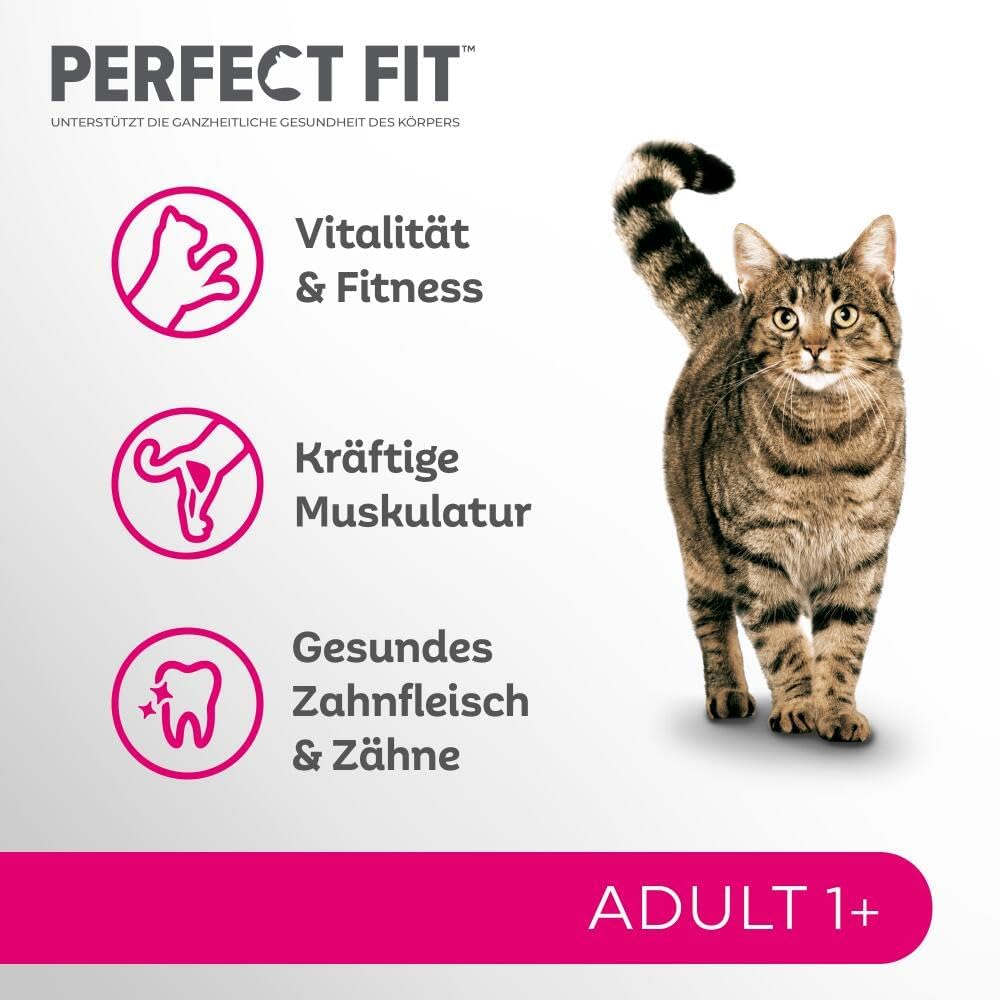 Perfect Fit Adult Katzen Trockenfutter Rind 7kg fuer erwachsene Katzen