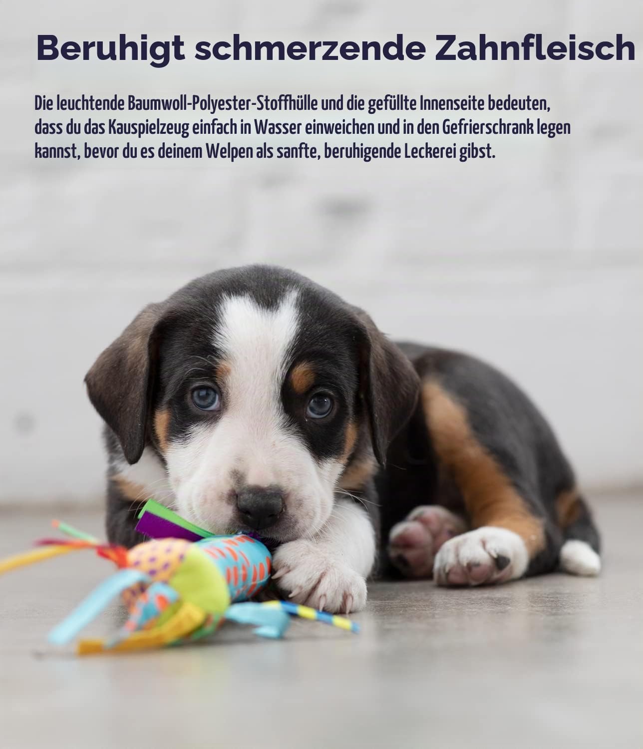 Petstages Kauknochen fuer Welpen - Hundespielzeug fuer den Zahnwechsel