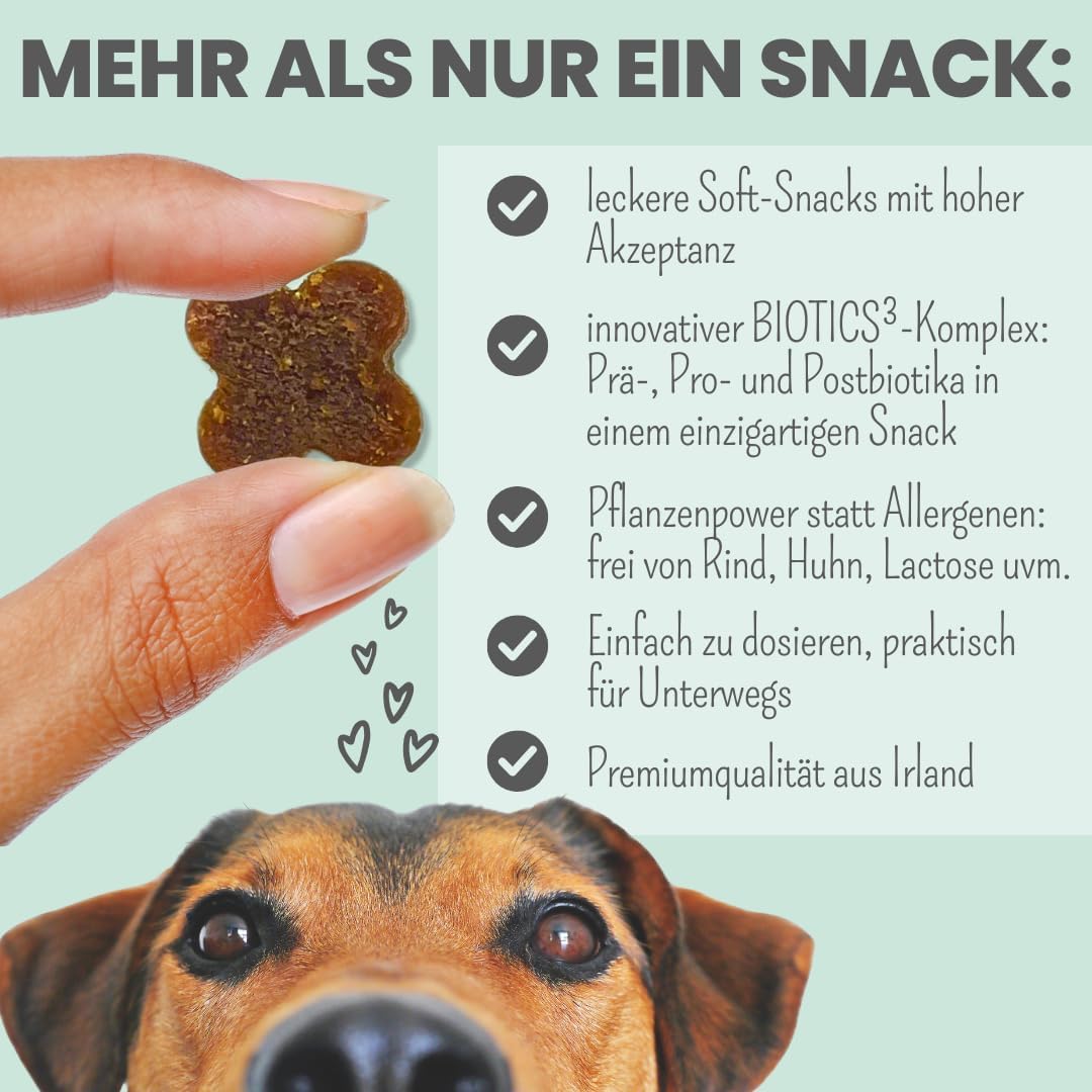 noms+ Probio Belly Snacks Hund XXL Beutel Probiotika Darmaufbau Allergiker