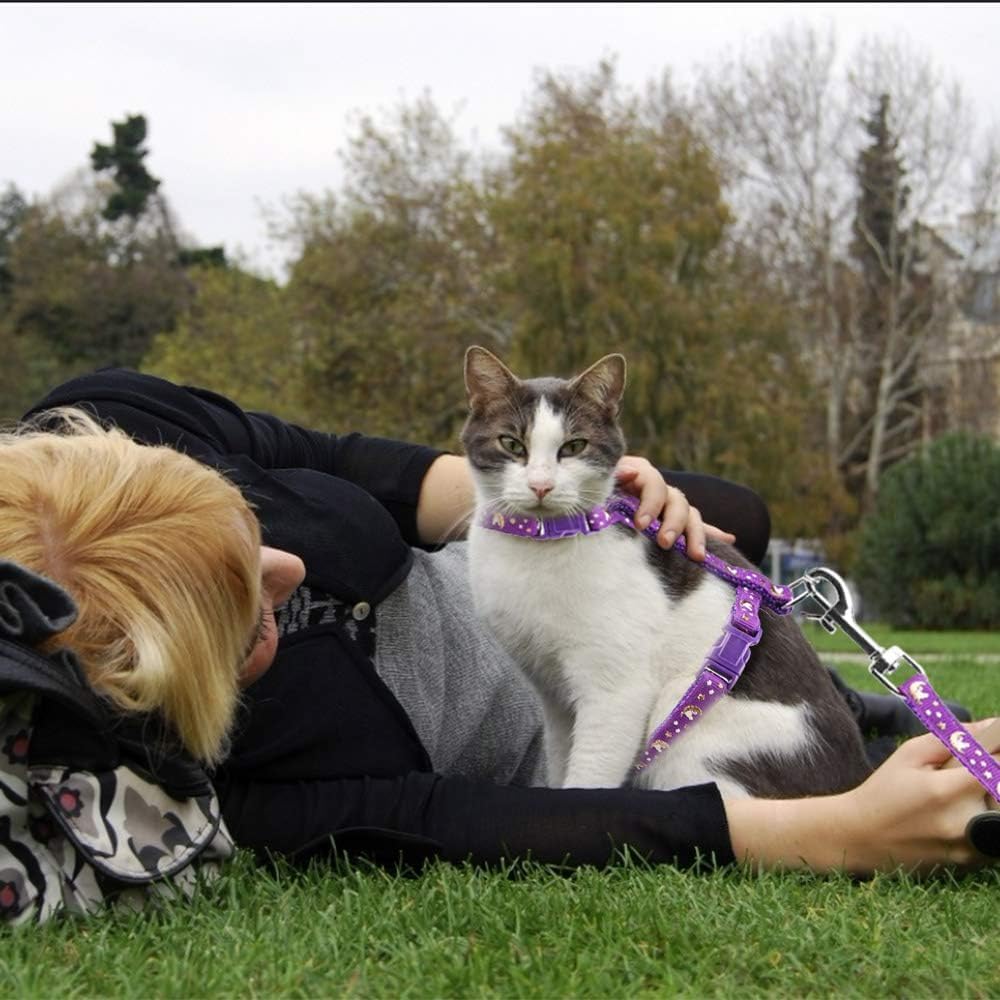 Katzengeschirr verstellbar mit Leine und Sicherheitsverschluss in verschiedenen Farben