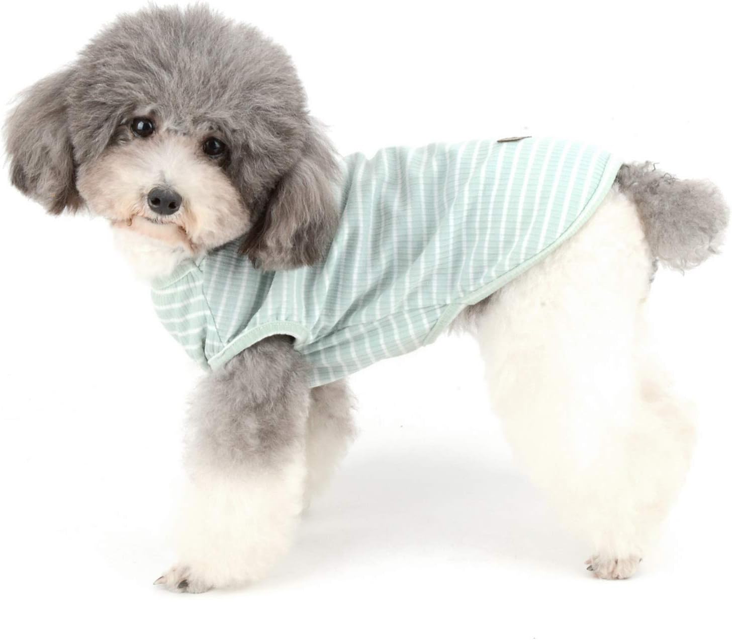 Zunea Hundeshirt Uebergangstanktop gestreift grau Baumwolle Chihuahua S-XXL