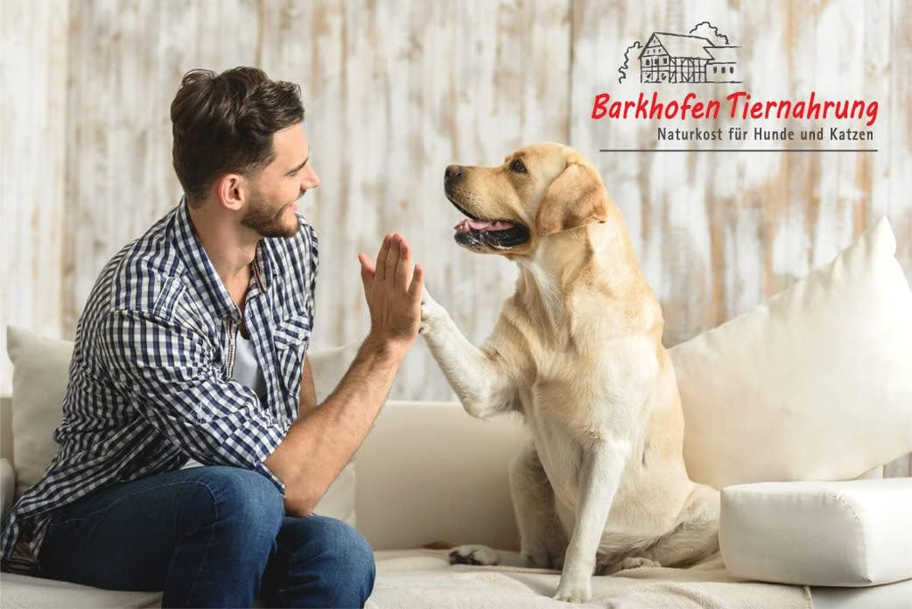 Barkhofen Nassfutter Hund 6 x 800g Wasserbueffel getreidefrei in Dosen