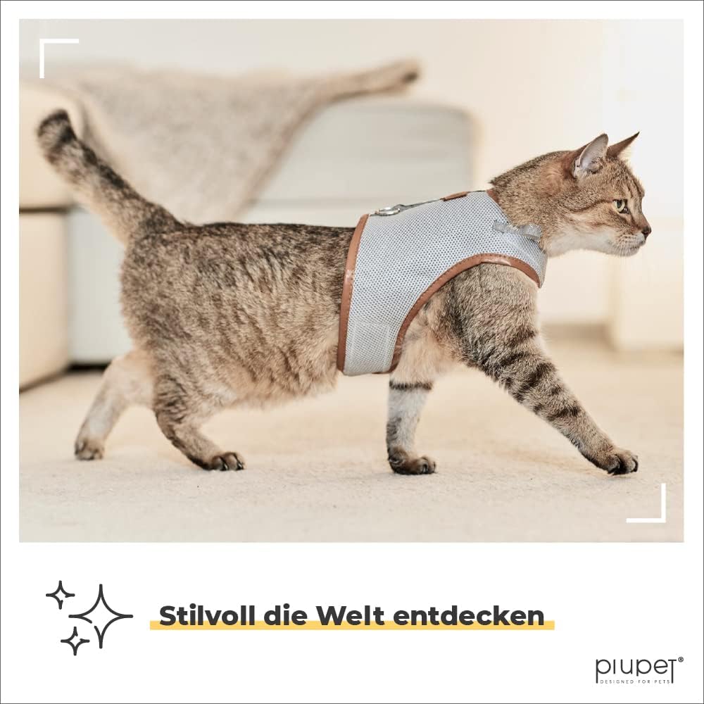 PiuPet Katzengeschirr M mit 1,2 m Leine, Anti-Ausbruch Halsband für Kätzchen