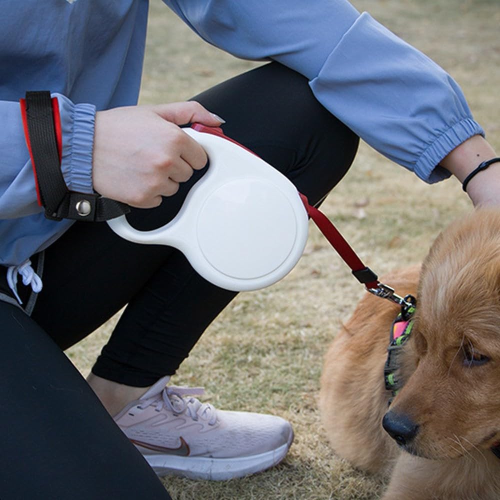 Sicherheitsgurt Hund einziehbar kurz Auto Gurt Leine freihaendig Anti-Flucht