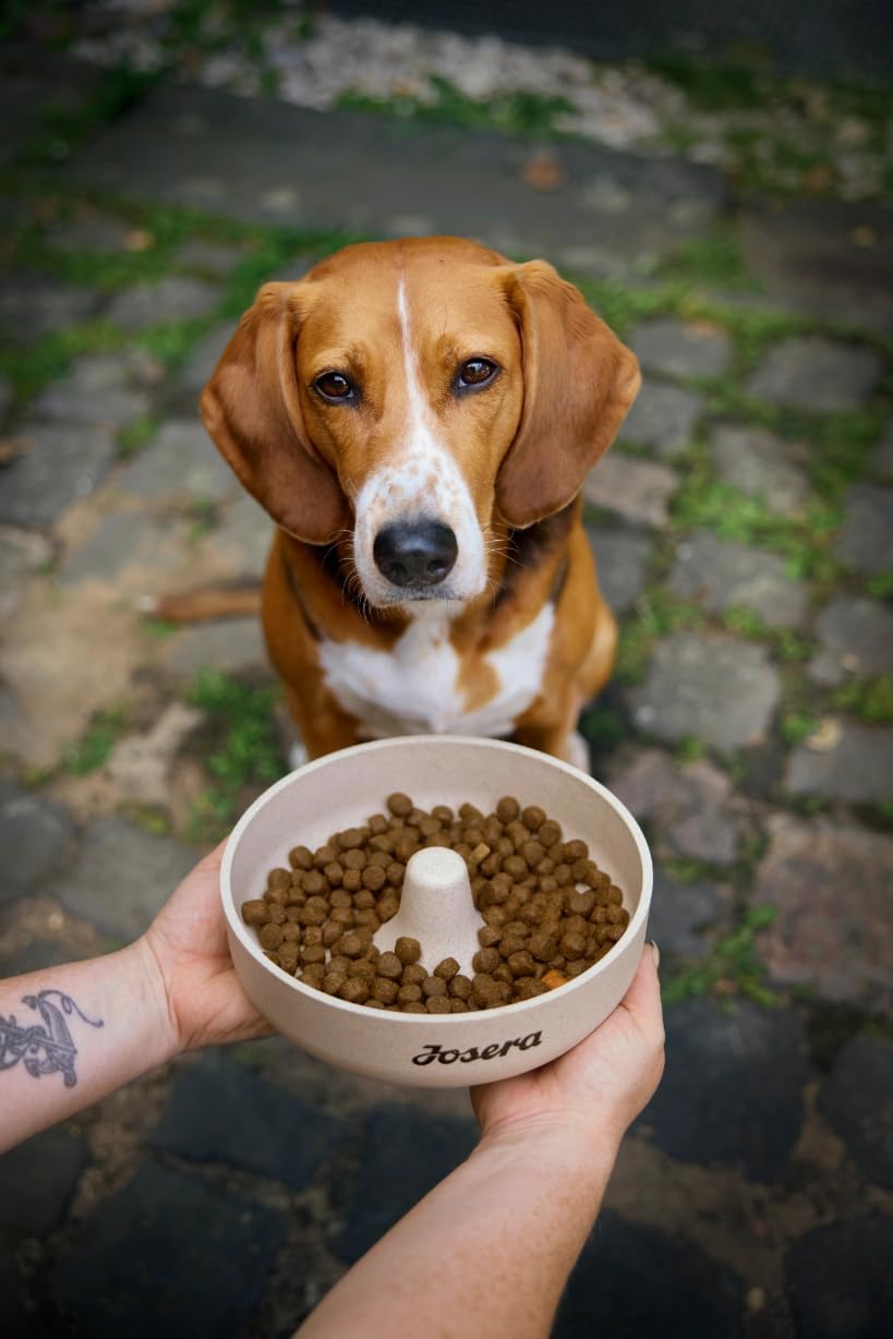 Josera Family Plus Trockenfutter Lachs & Gefluegel fuer Welpen & Mutterhuendin