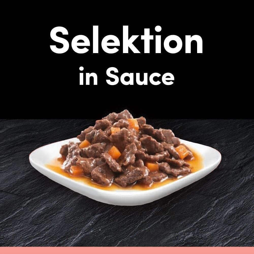 Cesar Hundenassfutter Selektion in Sauce 48x100g (4x12)