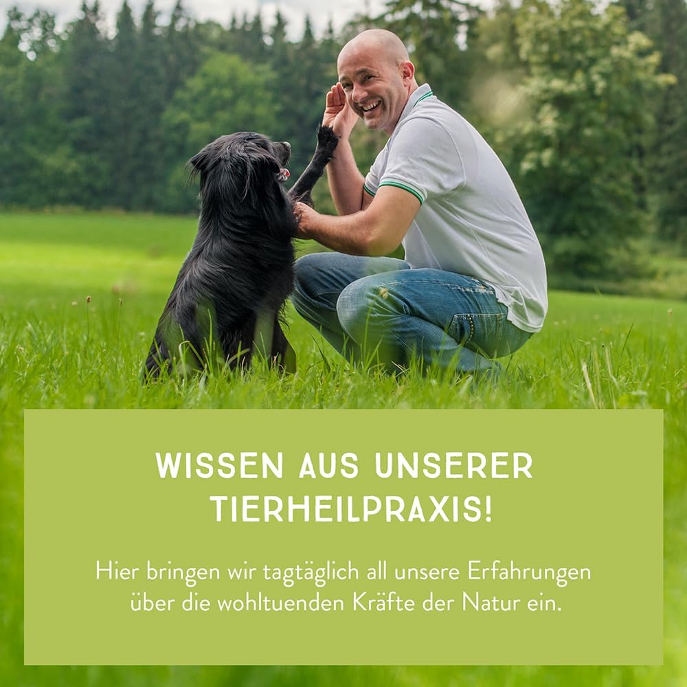 Veganer Hundenassfutter Mixpaket 3 Sorten 6x800g rein pflanzlich