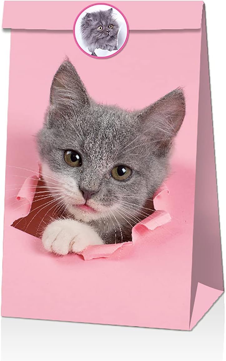 Geschenktueten 12er Set Katzenmotiv Papiertueten Goodie Bags Party Suessigkeiten