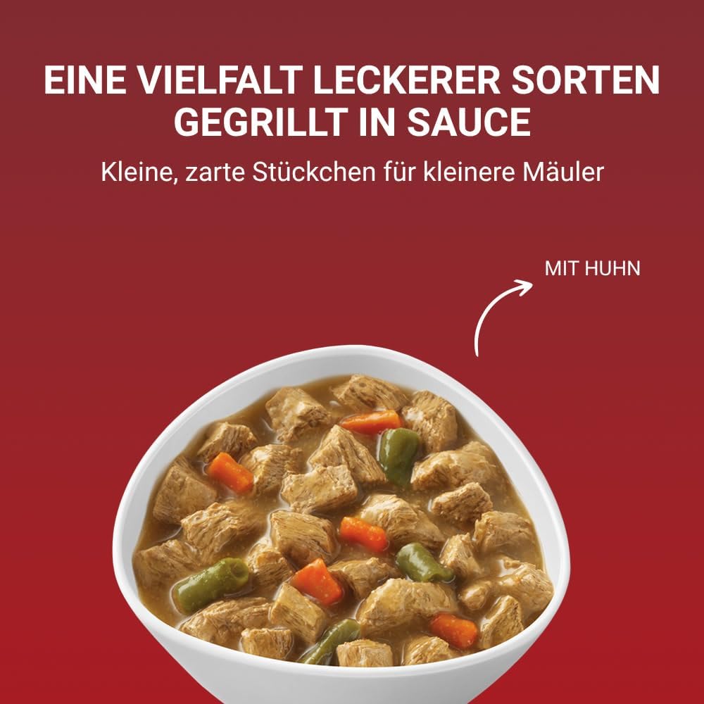 Purina ONE Mini/Small Adult Trockenfutter Rind & Reis 8 x verschiedene Sort