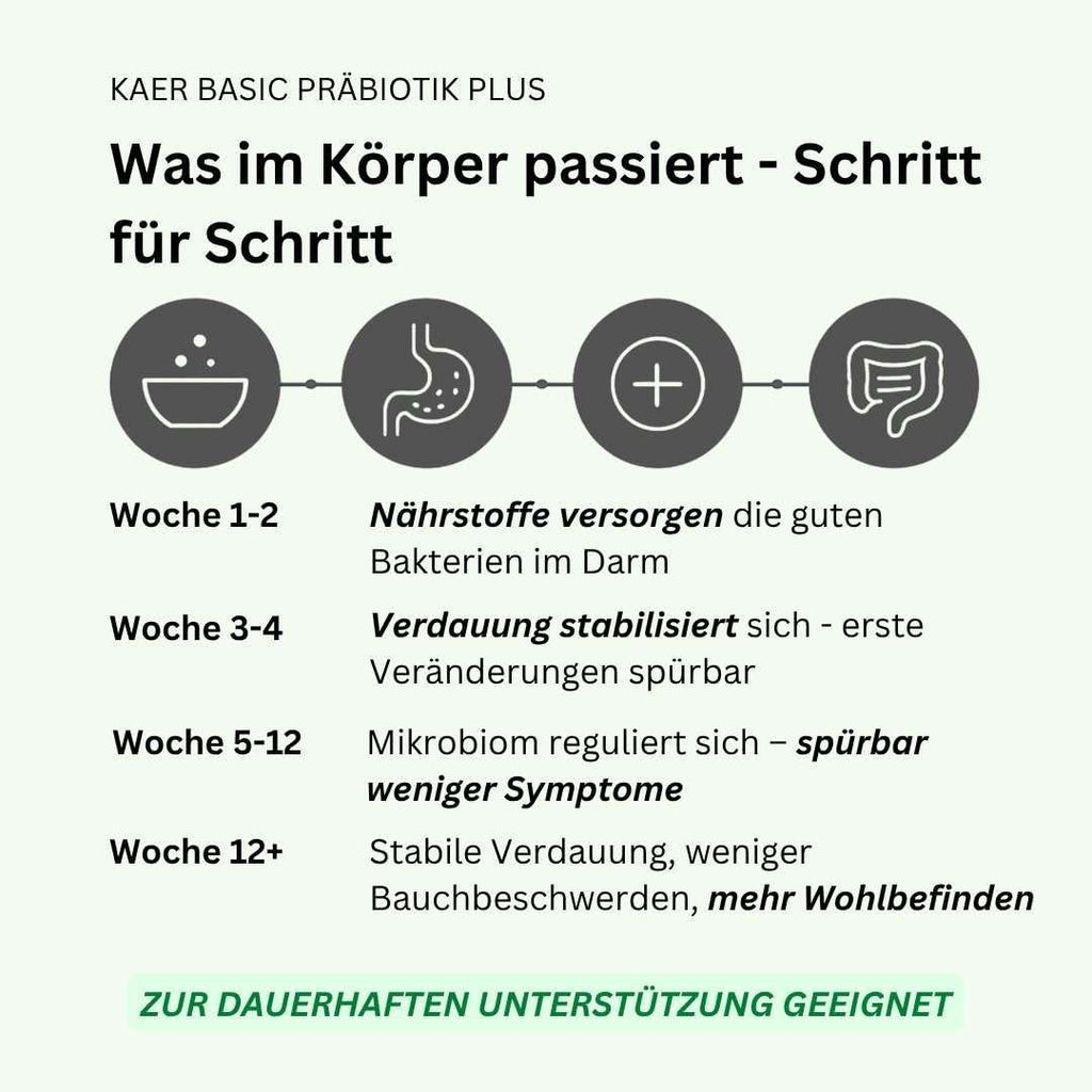 Praebiotik Pulver fuer Hunde zur Darmflorastaerkung bei Analdruesen Juckreiz