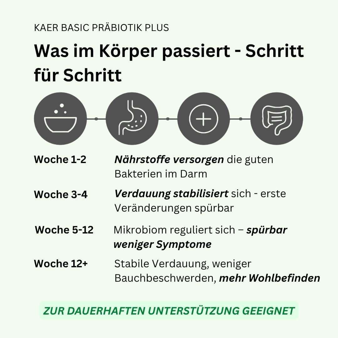 Praebiotik Pulver fuer Hunde zur Darmflorastaerkung bei Analdruesen Juckreiz