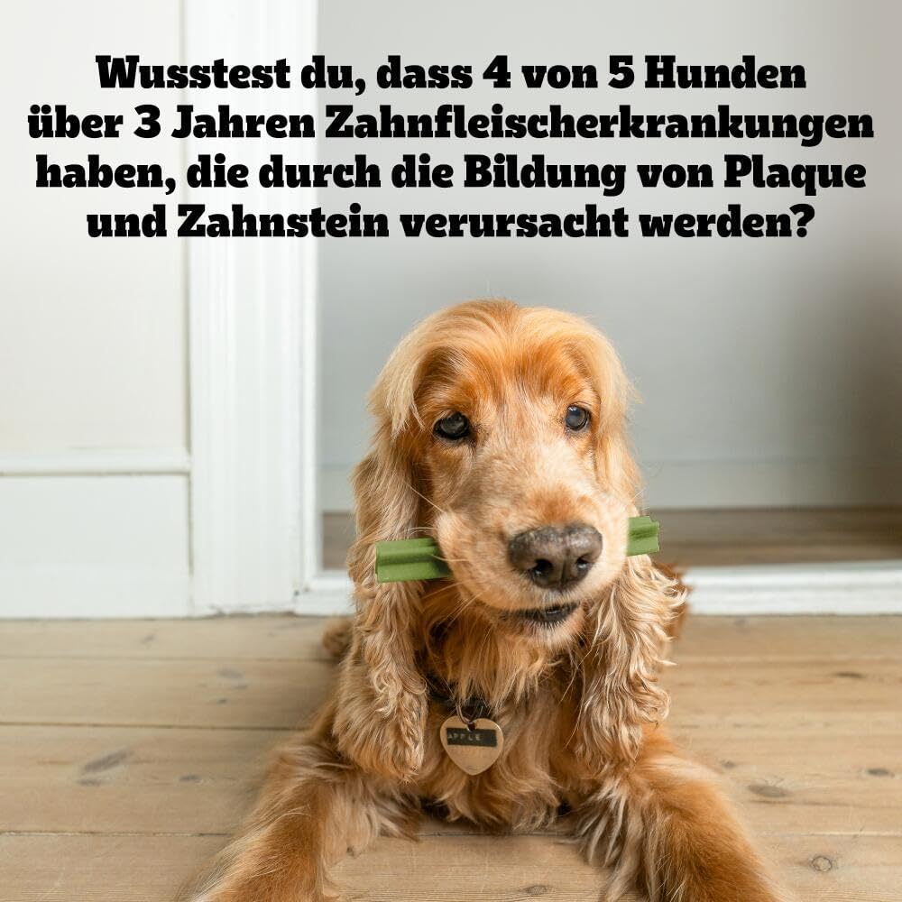Pedigree DentaStix Zahnpflege Snack für kleine Hunde