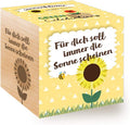Ecocube Sonnenblume Anzuchtset Holz-Wuerfel mit Samen Geschenkidee