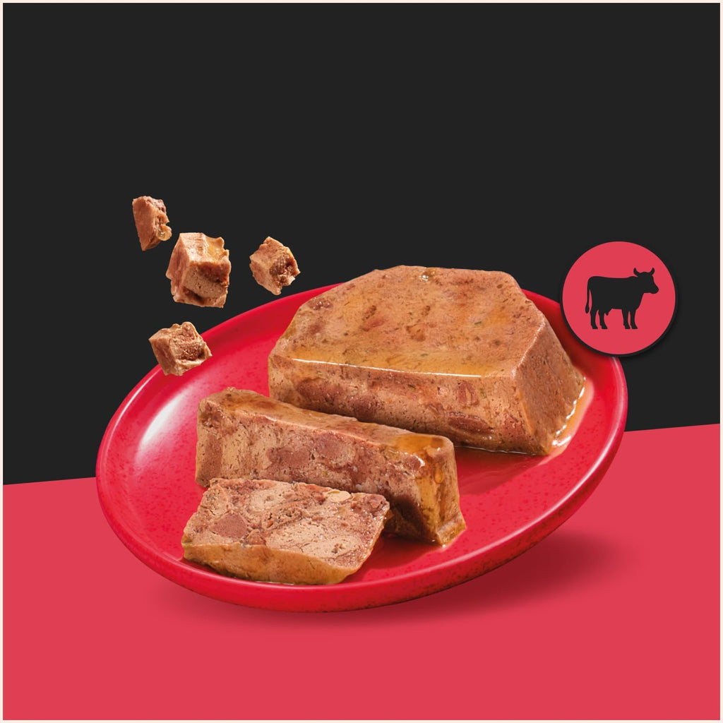 Cesar Hundenassfutter Klassik Terrine 24 x versch. Sorten