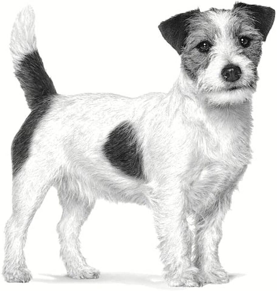 Gastrointestinal Low Fat Hundefutter fuer kleine Hunde verschiedene Sorten