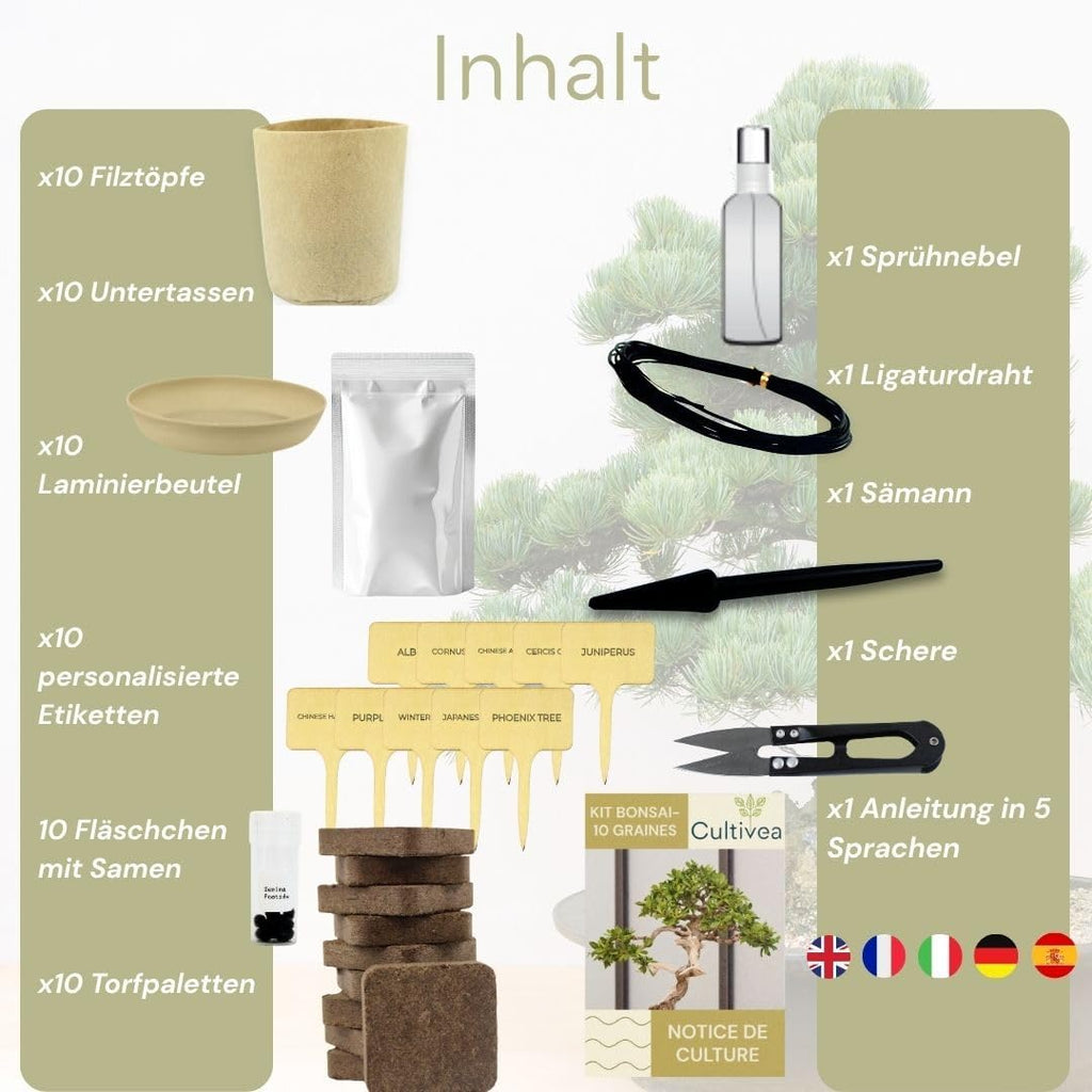 Bonsai Anzuchtset mit Samen fuer 10 Baeume - Komplettes Starter Kit