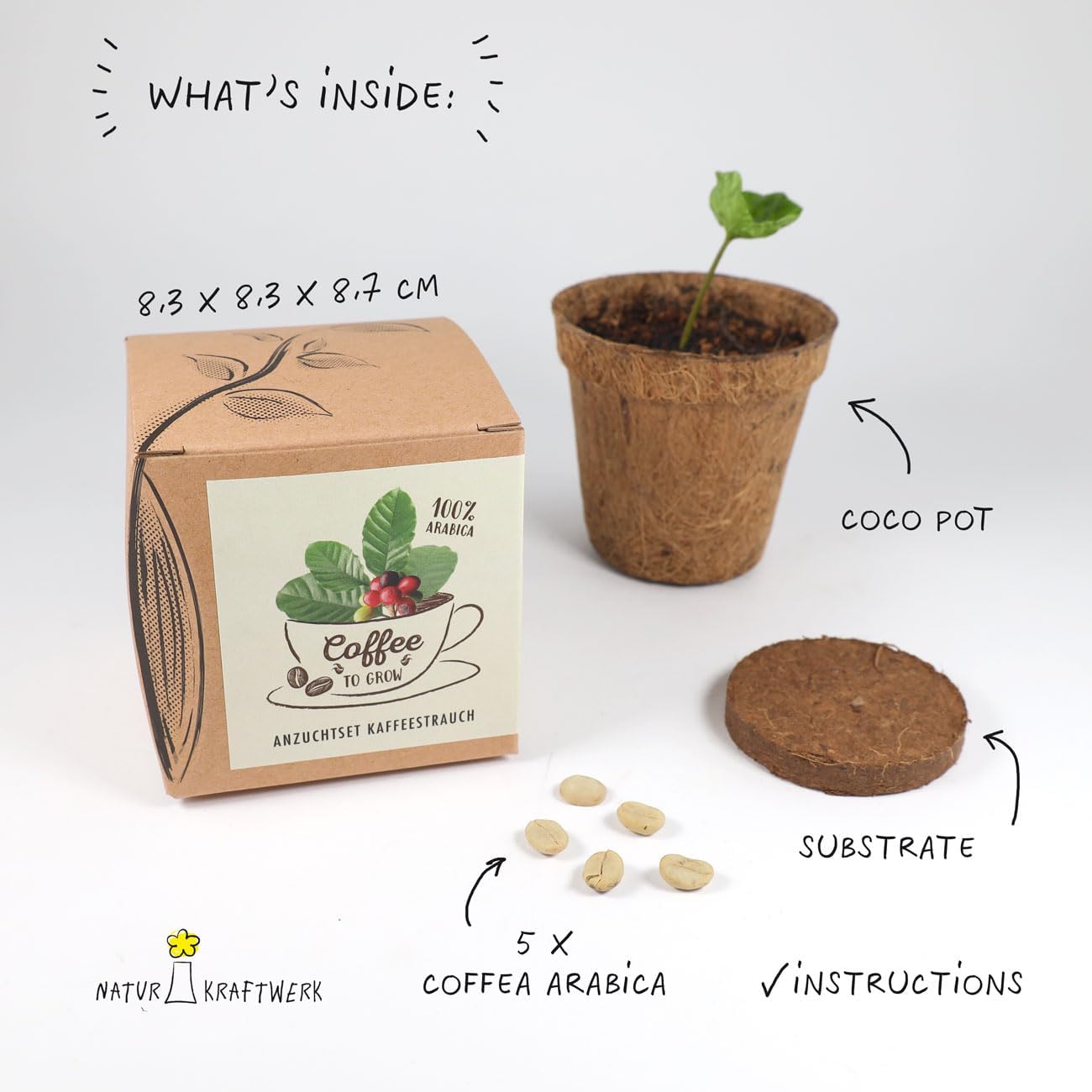 Coffee To Grow Kaffeestrauch Anzuchtset Pflanzset Geschenk