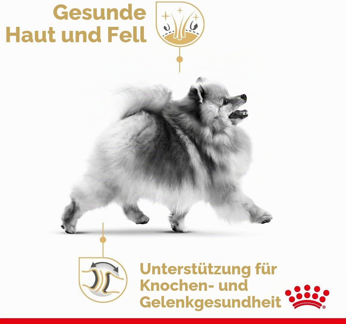 Royal Canin Pomeranian Adult Trockenfutter fuer kleine Hunde, verschiede