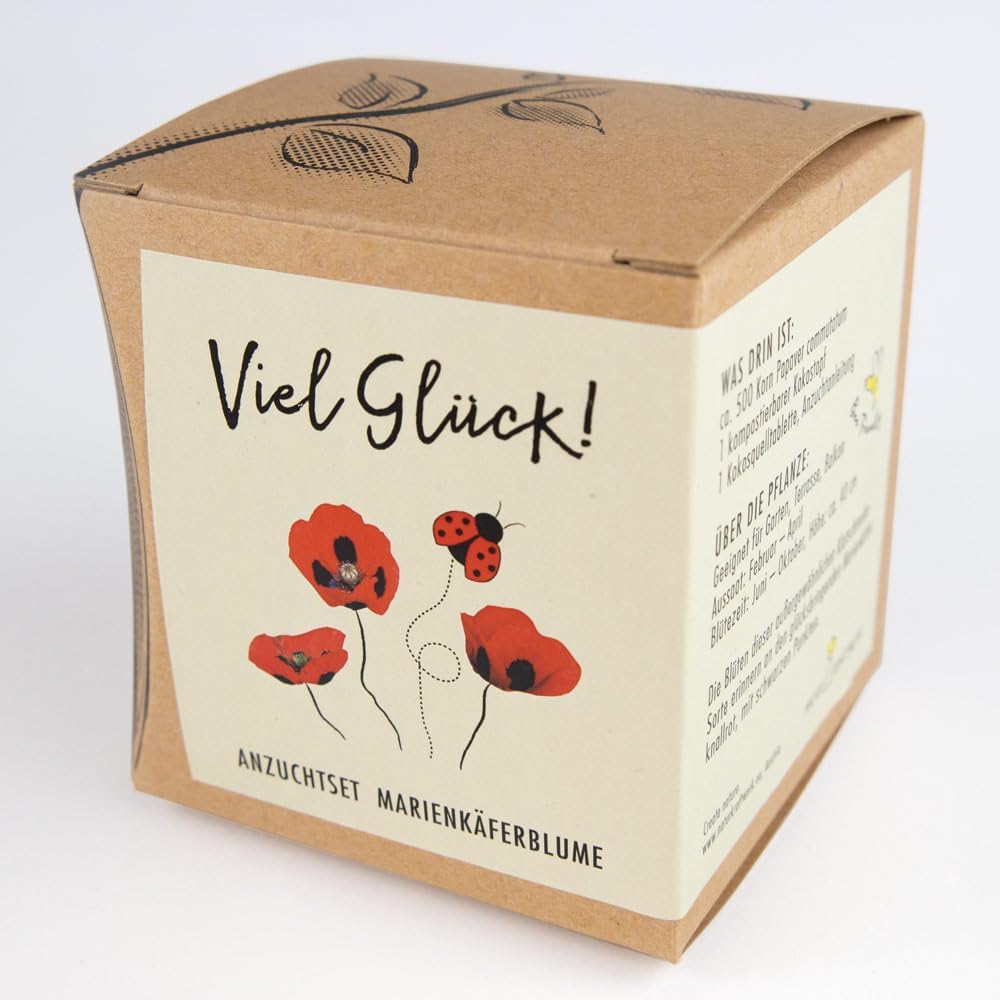Marienkaeferblume Anzuchtset Samen fuer Garten Balkon Geschenk