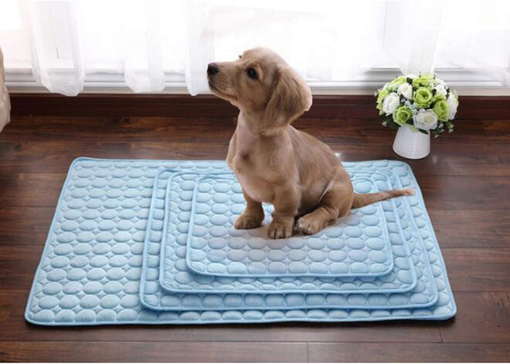 CoolCore Kuehlkissen fuer Hunde Katzen Blau S 1cm