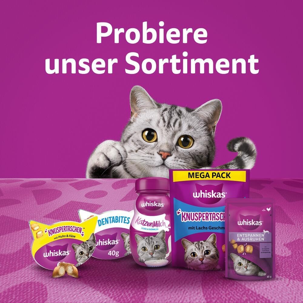 Whiskas Katzensnacks Pounce & Play 8x45g Portionsbeutel verschiedene Sorten