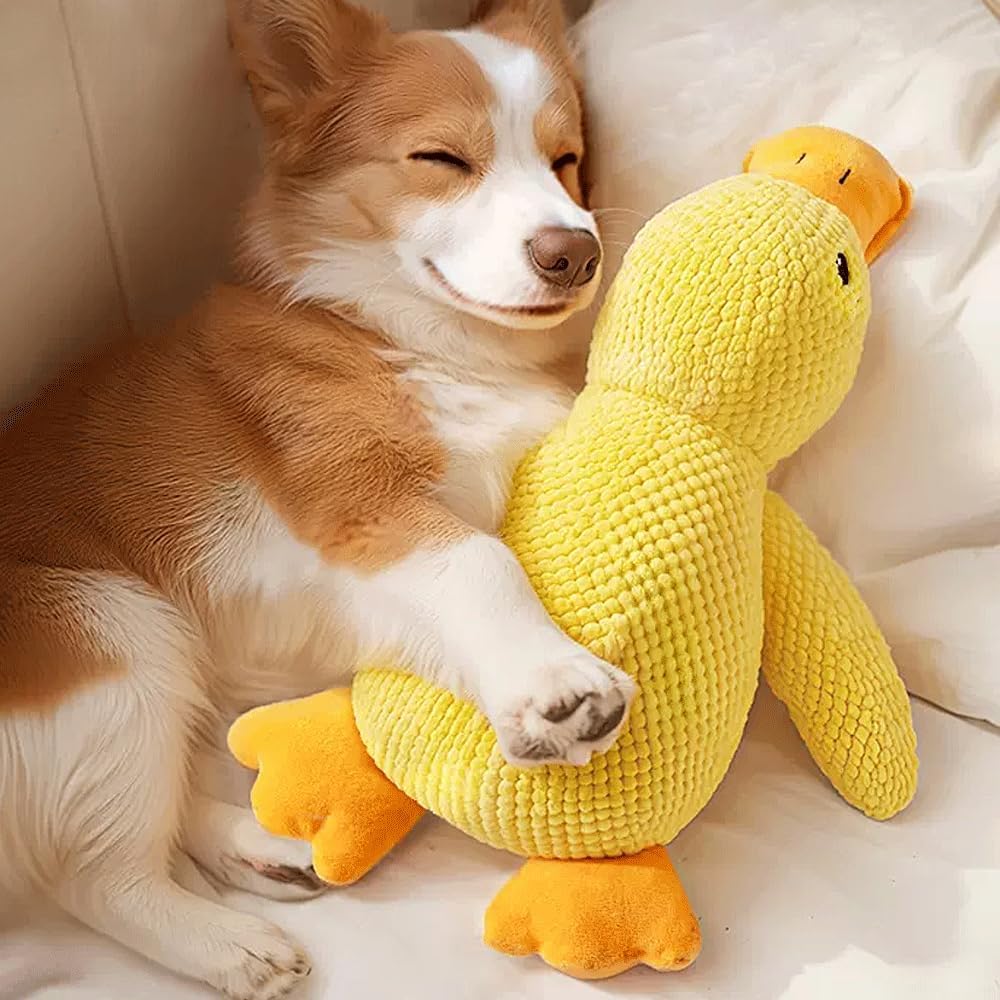 Plüsch Hundespielzeug Quietschente Weich Welpe Groß Mittel Klein 35 cm