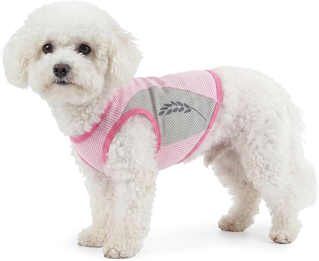 Hundekuehlweste Blau Sommer Kuehljacke Sonnenschutz Outdoor S-XXL