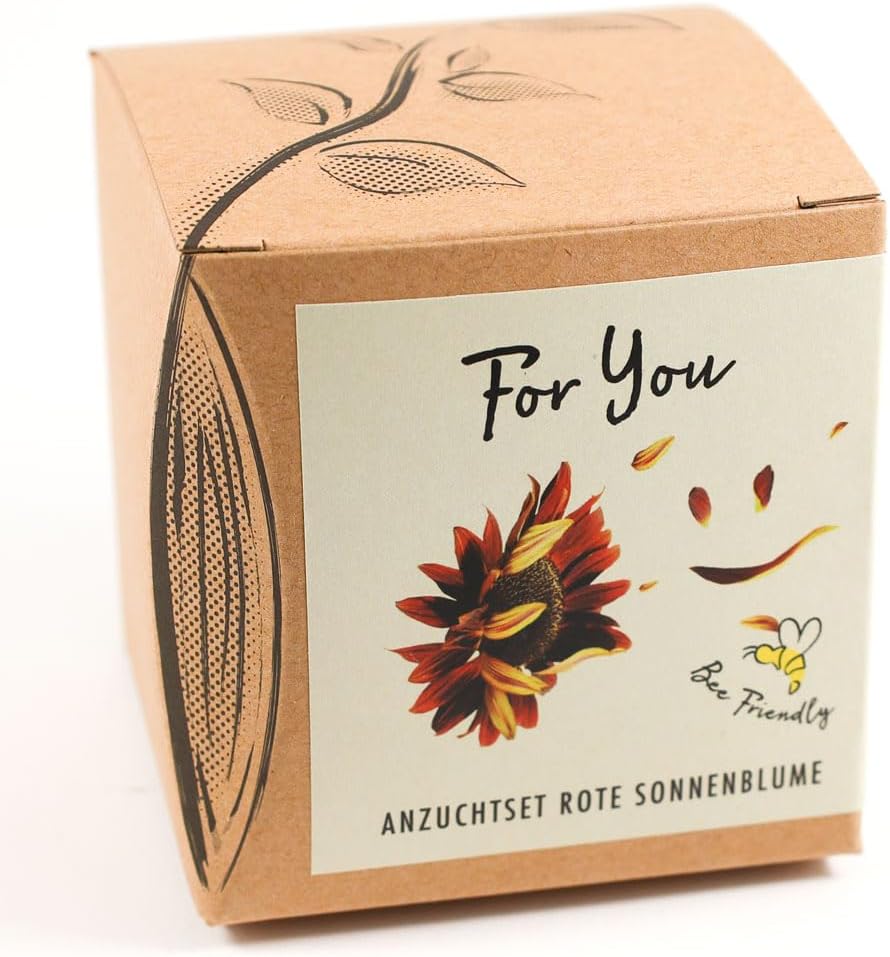 Sonnenblume Abendrot Anzuchtset mit Topf Pflanzset Geschenk