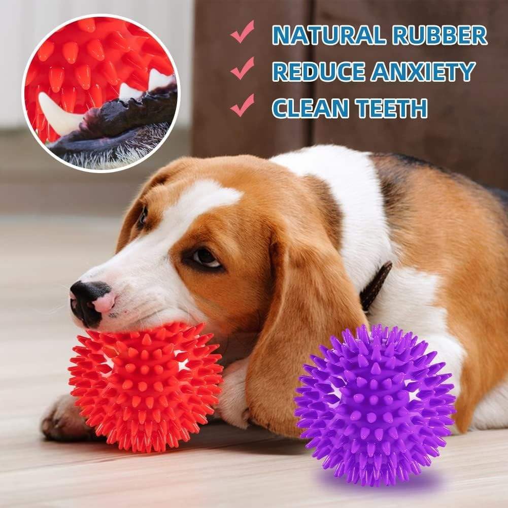 Tragbare Hundeflasche auslaufsicher Gruen + Squeeze- und Leckerli-Ball Bla