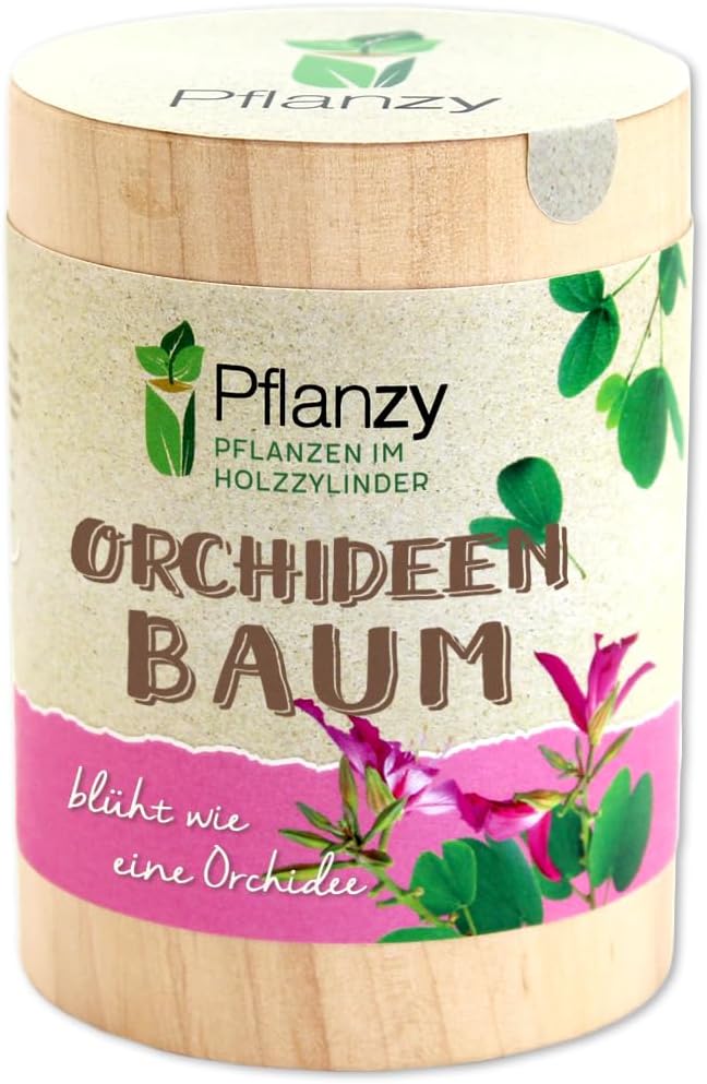 Orchideenbaum Anzuchtset im Holzzylinder Pflanze Geschenkidee