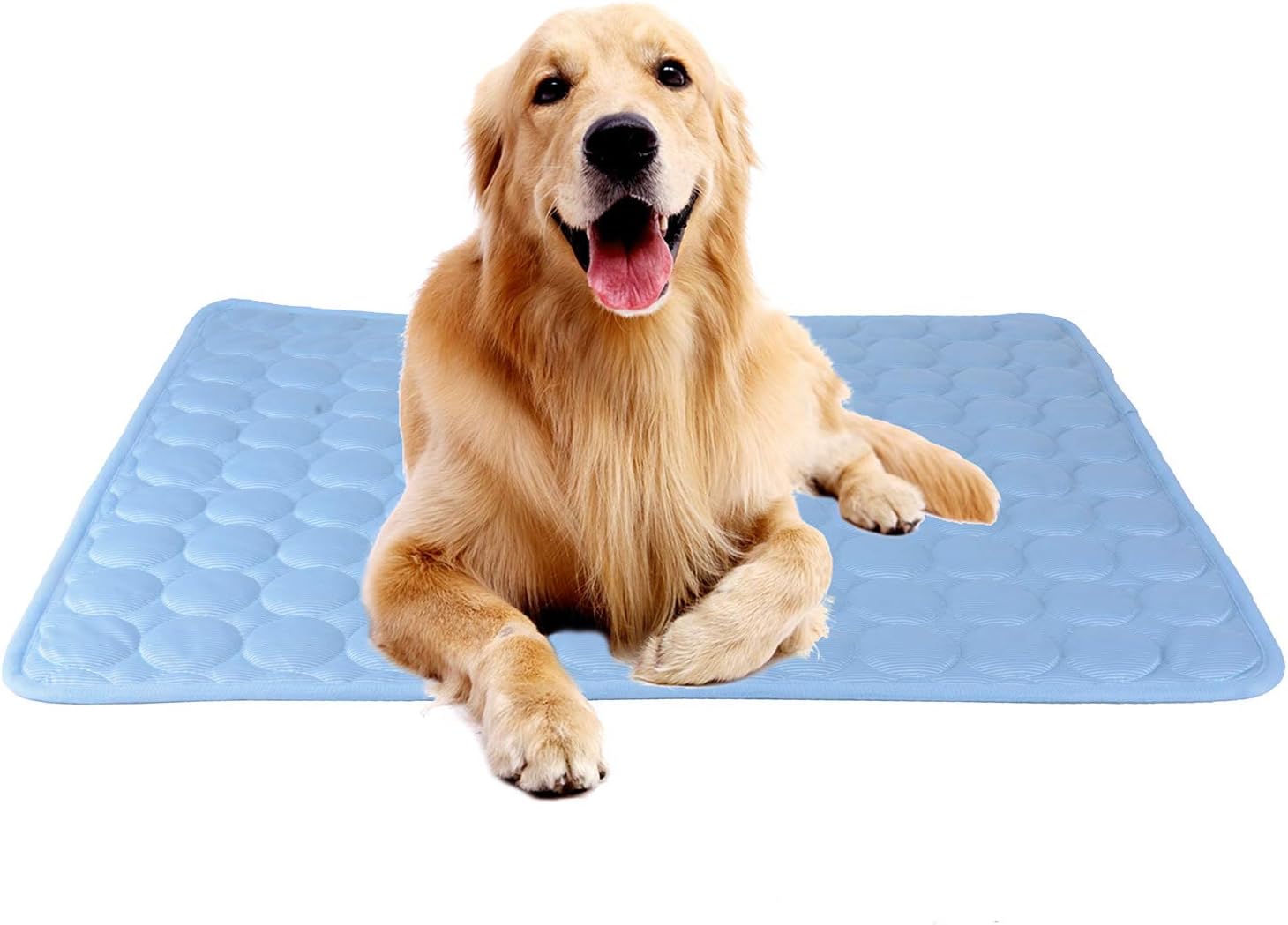 CoolCore Kuehlkissen fuer Hunde Katzen Blau S 1cm