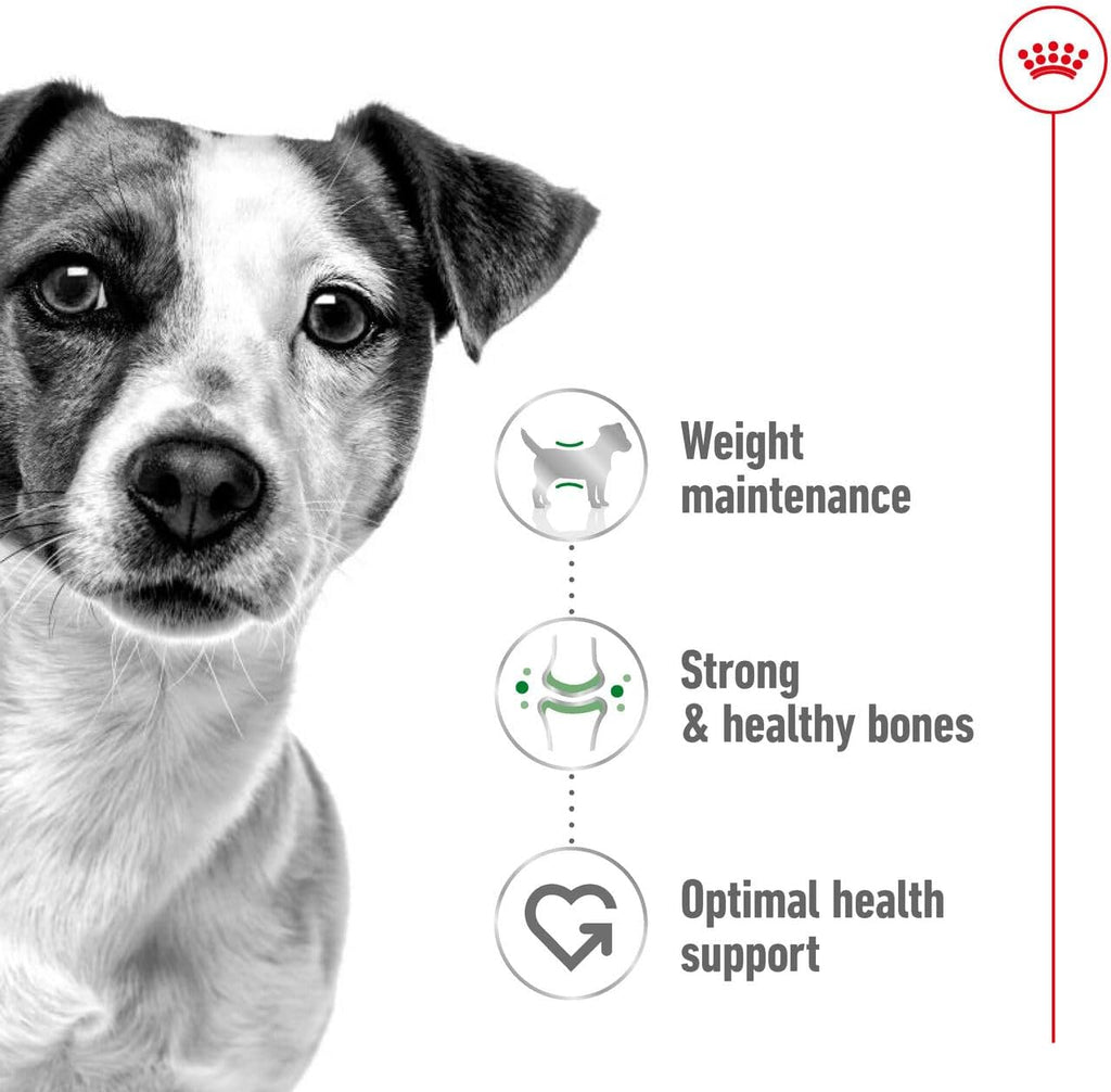 Royal Canin Mini Adult 800 g Alleinfutter Hund kleine Rassen Omega‑3