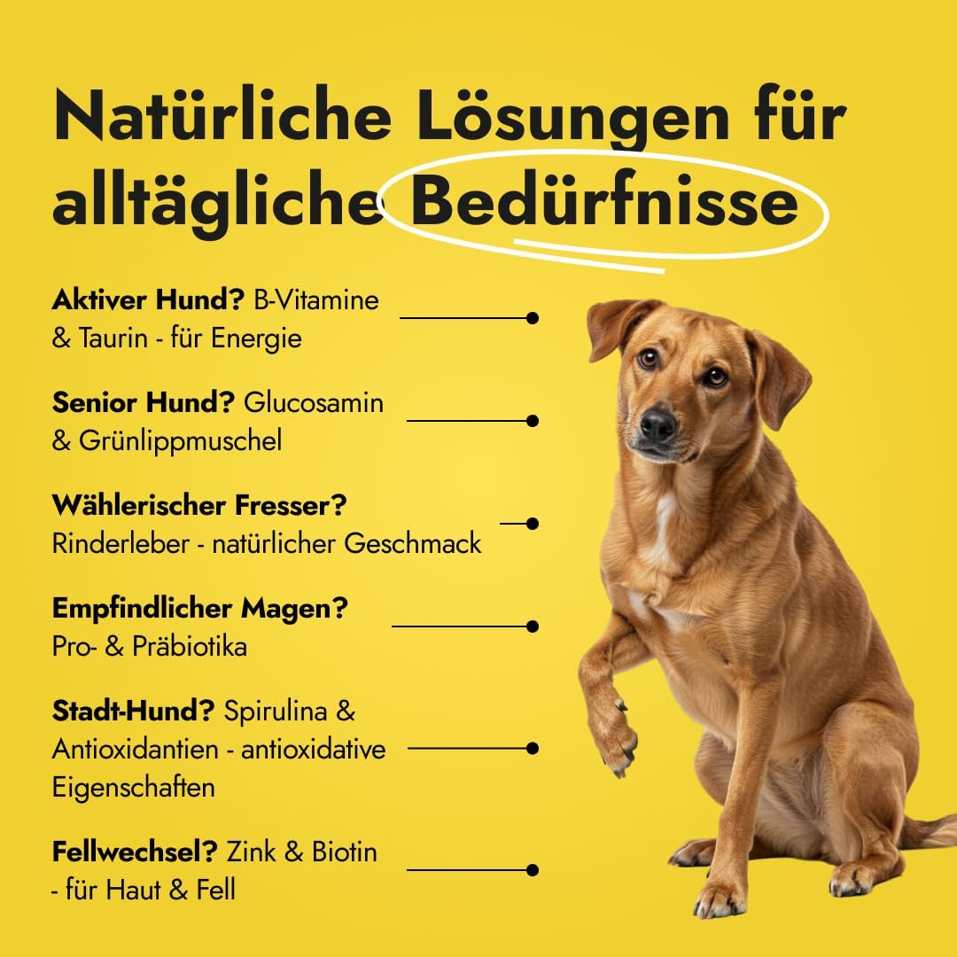Canine Booster Pulver mit Gruenlippmuschel-Extrakt und 26 Wirkstoffen
