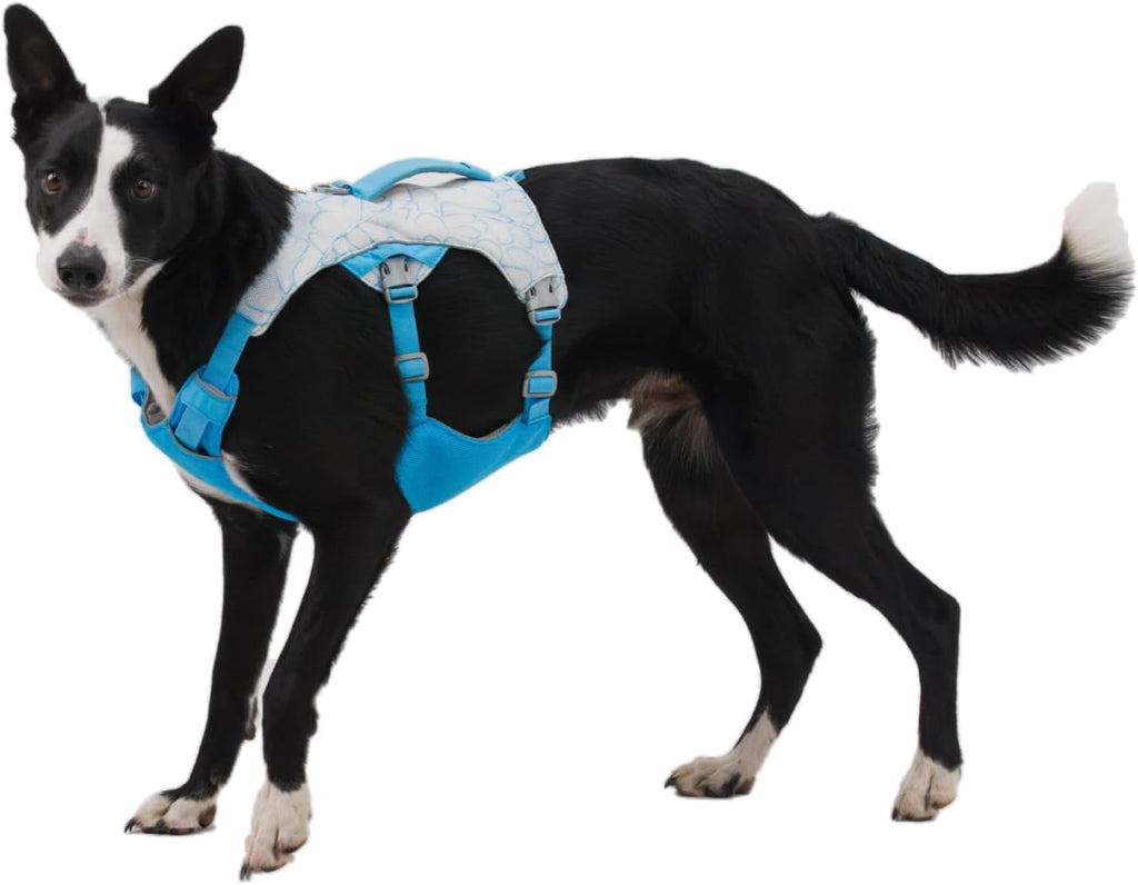 Ruffwear Swamp Cooler Kuehlgeschirr mit Griff verstellbar 43cm-107cm Graphite