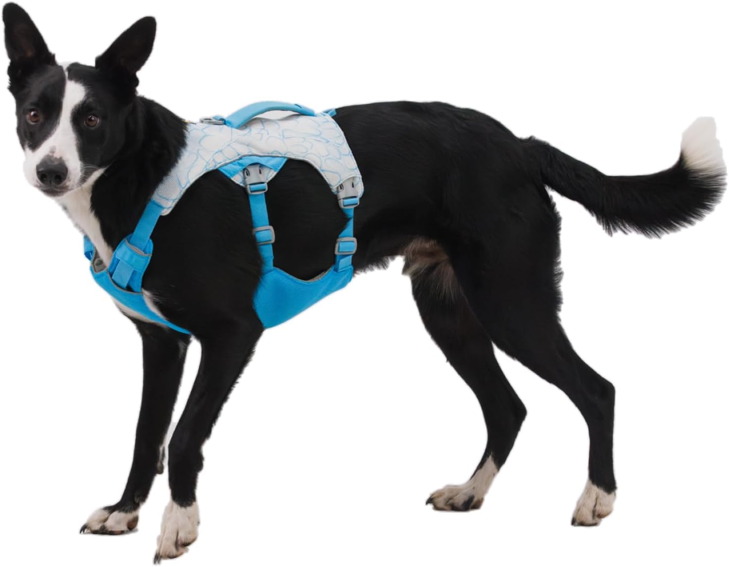 Ruffwear Swamp Cooler Kuehlgeschirr mit Griff verstellbar 43cm-107cm Graphite