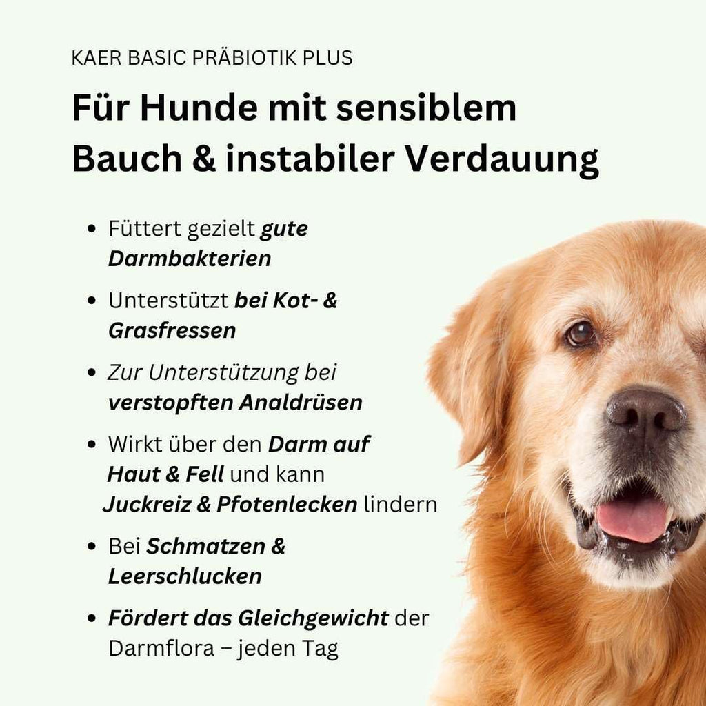 Praebiotik Pulver fuer Hunde zur Darmflorastaerkung bei Analdruesen Juckreiz