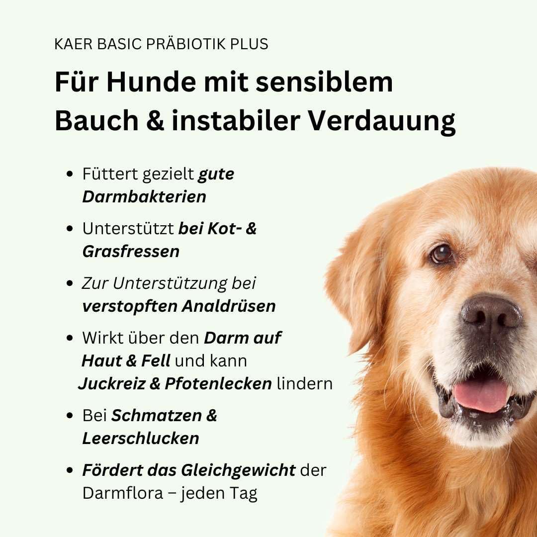 Praebiotik Pulver fuer Hunde zur Darmflorastaerkung bei Analdruesen Juckreiz