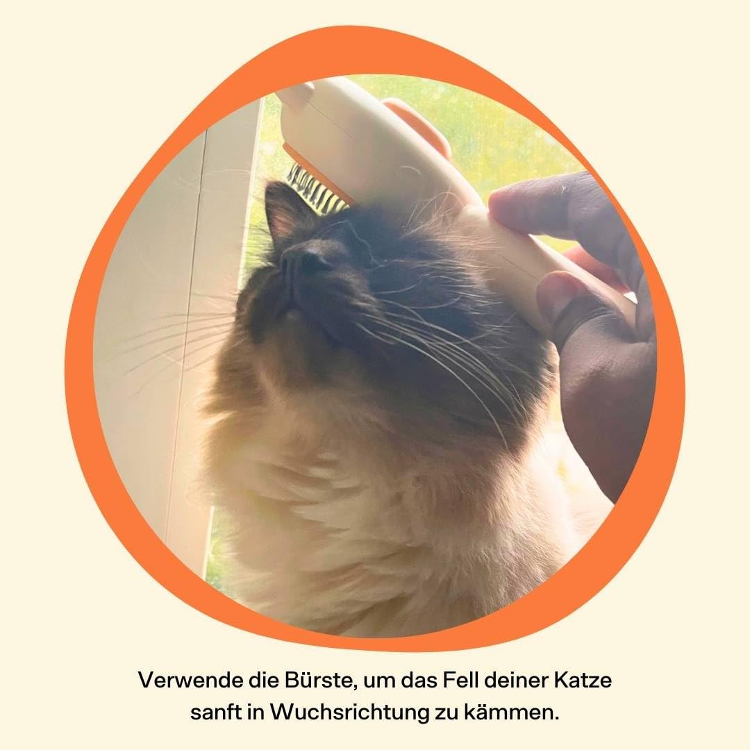 Katzenbürste selbstreinigend für Kurzhaar und Langhaar Unterfellpflege