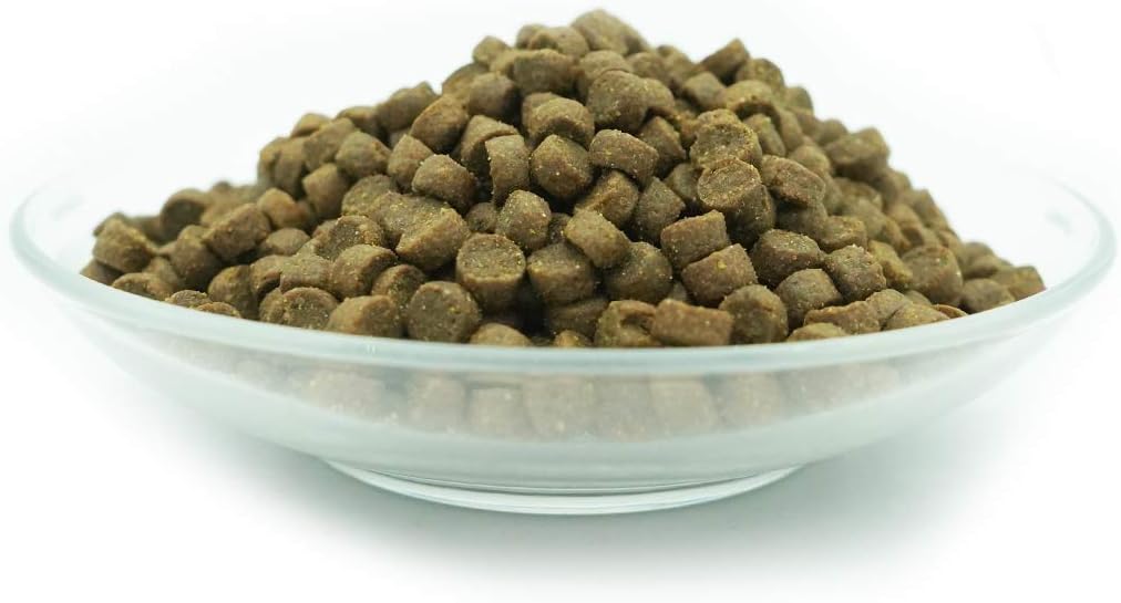 Bellfor Analdruesen Salbe fuer Hunde - Natuerliche Pflege fuer die empfindlich