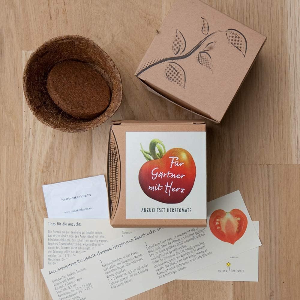 Herztomate Anzuchtset mit seltenen Tomatensamen fuer Hobbygaertner